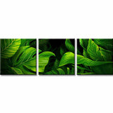 Painting By Numbers Leaves- 3-Panel (Triptych) -SS-186