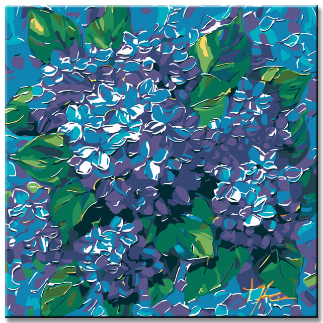 Painting by Numbers Blue Hydrangea Flowers