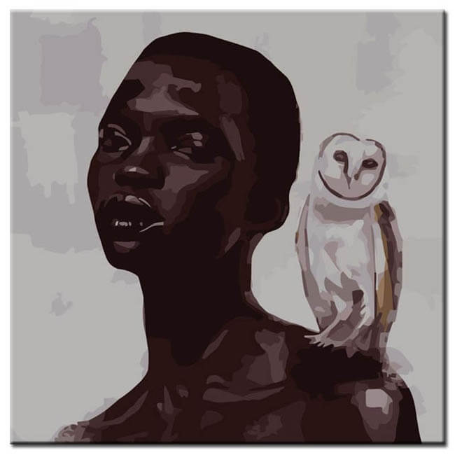 Painting By Numbers Art Lifestyle Woman With White Owl On Her Shoulder