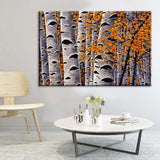 Painting by Numbers Art Nature Bare Trees with Autumn Leaves