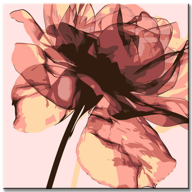 Painting by Numbers Bkumen Rose with Head Up