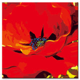 Painting by Numbers Corn Poppy Poppy Flower Shipping from DE