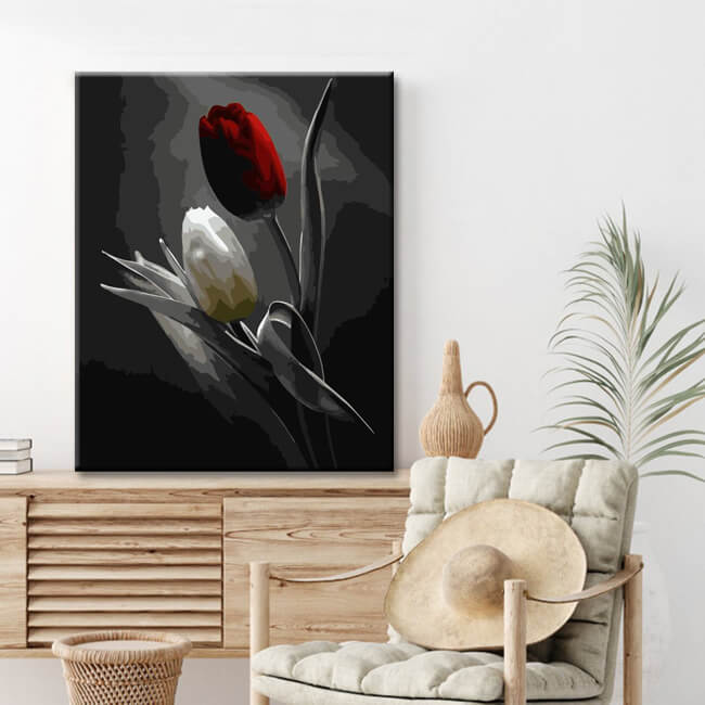 Painting by Numbers Red and White Tulip Black and White Shipping from DE