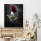 Painting by Numbers Red and White Tulip Black and White Shipping from DE