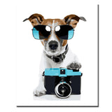 Painting By Numbers Art Dog With Glasses And Camera
