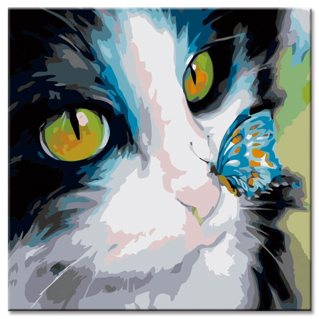 Paint By Numbers Art Painting Black And White Cat