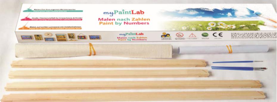 Paint by Numbers Art