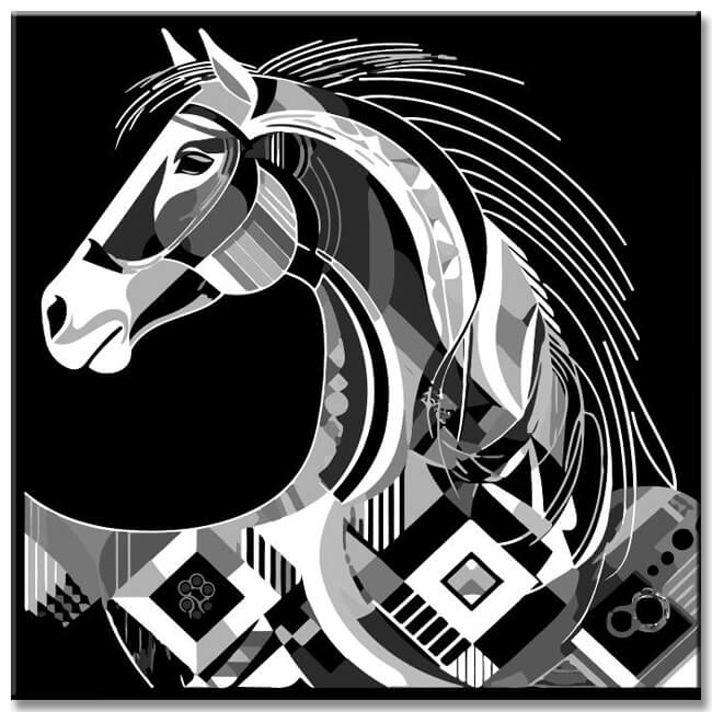 Elegant black and white graphics - paint by numbers