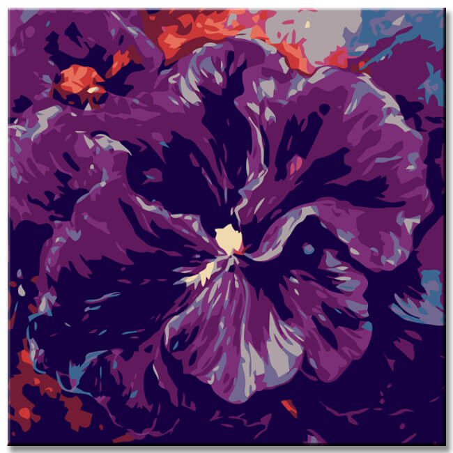 Paint by Numbers Pansy Flower