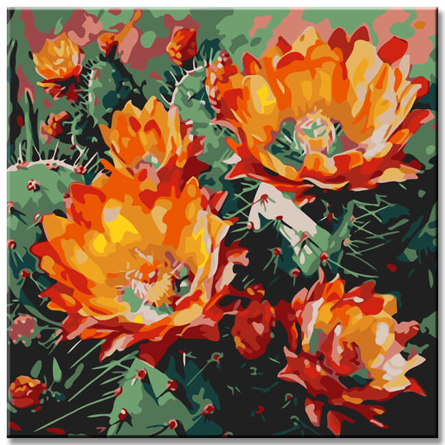 Beautiful cactus painting by numbers - shipping from DE