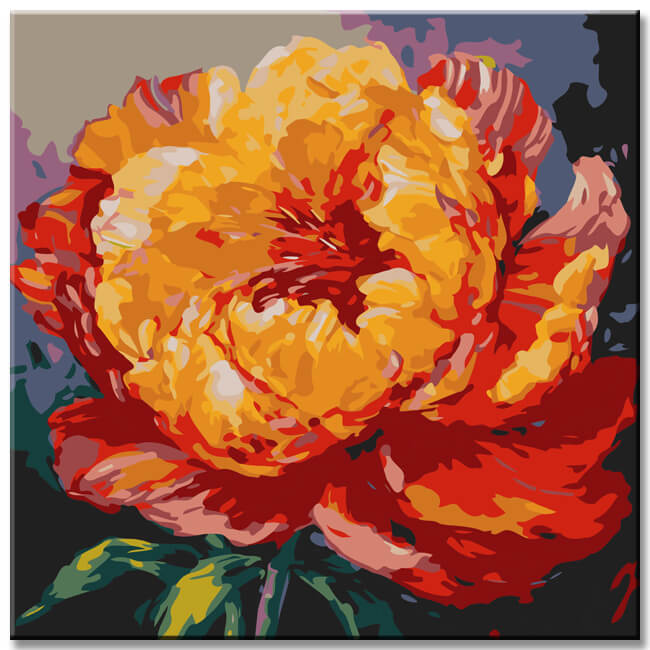 Beautiful Peony Painting by Numbers - Shipping from DE