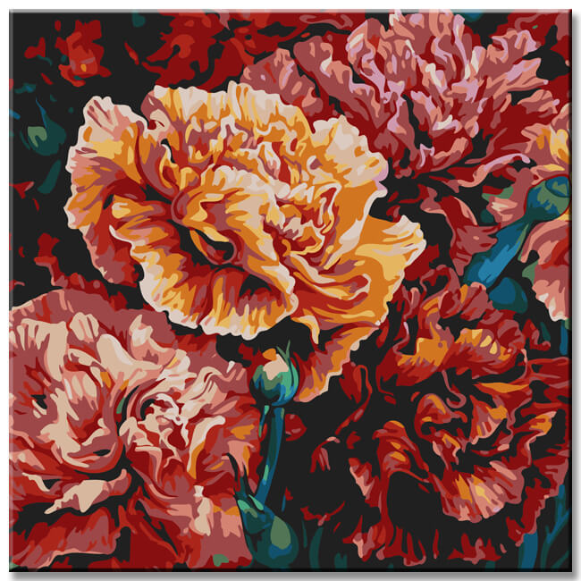 Carnations painting by numbers - shipping from DE