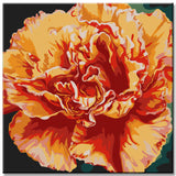 Carnation magic painting by numbers - shipping from DE