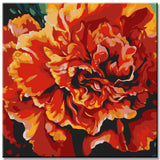 Carnation Dream Painting by Numbers - Shipping from DE