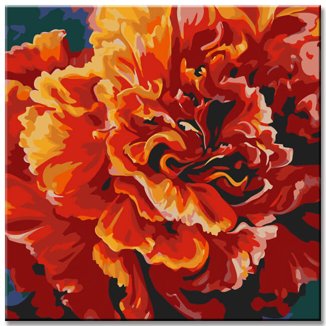 Carnation flower painting by numbers - shipping from DE