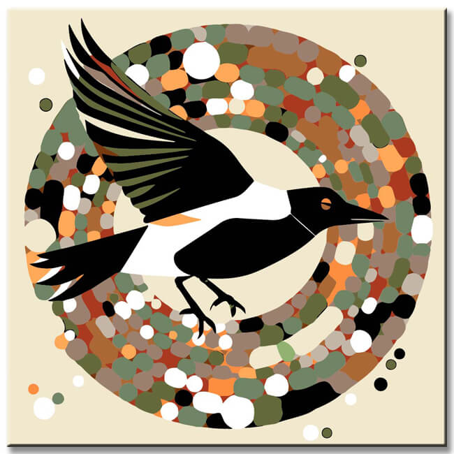 Flying Magpie - Painting by Numbers