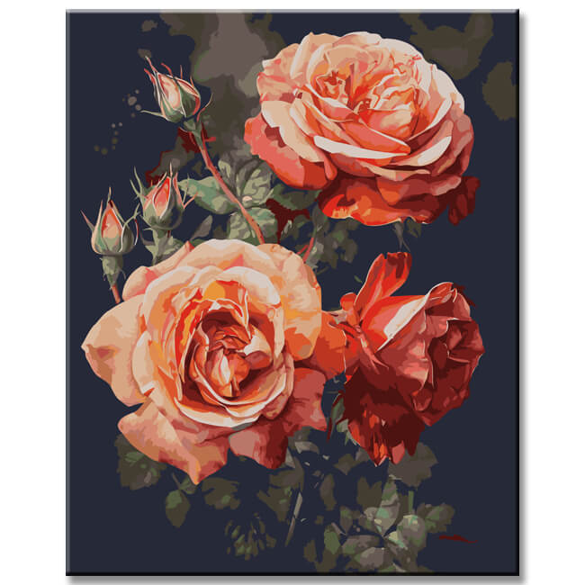 Exquisite watercolor rose artwork: painting by numbers enjoyment