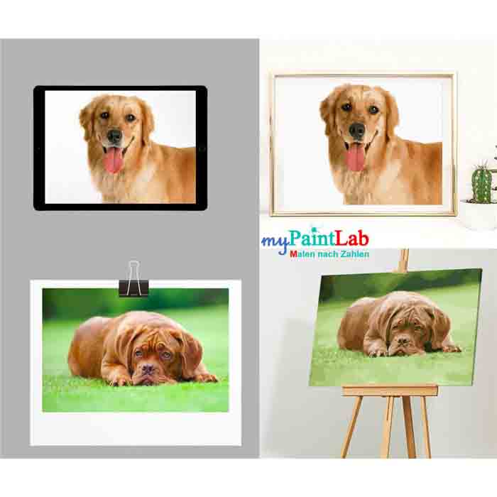 Production Process for Personalized Paint by Numbers: