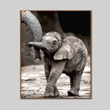 Paint By Numbers Baby Elephant