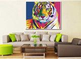 Painting By Numbers Colorful Tiger