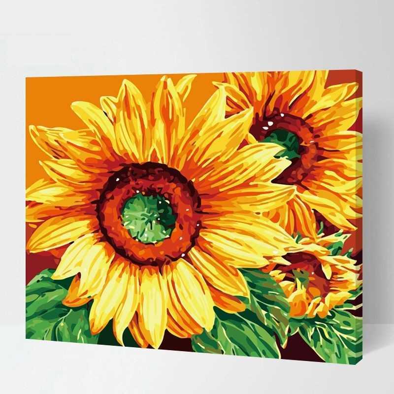 Painting By Numbers Sunflowers