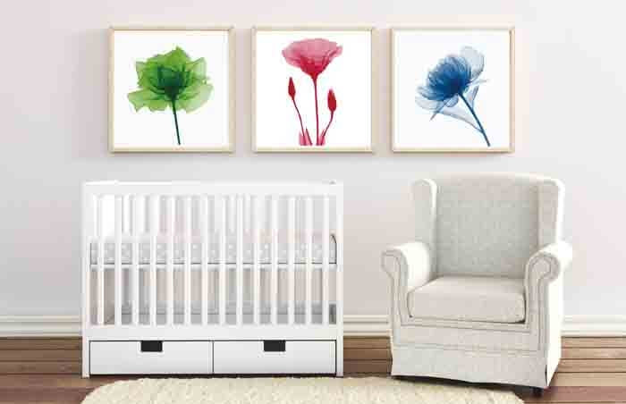 Paint By Numbers Blue Flower 3 Triptych