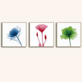 Paint By Numbers Blue Flower 3 Triptych