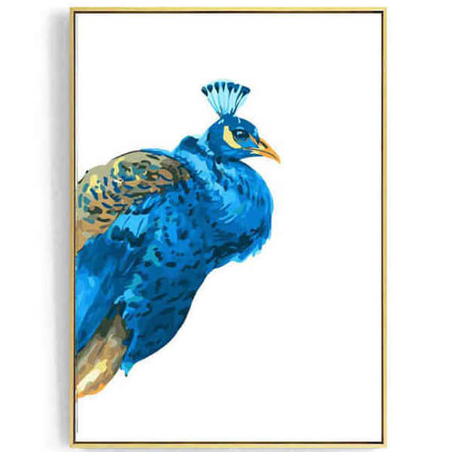 Painting By Numbers Peacock