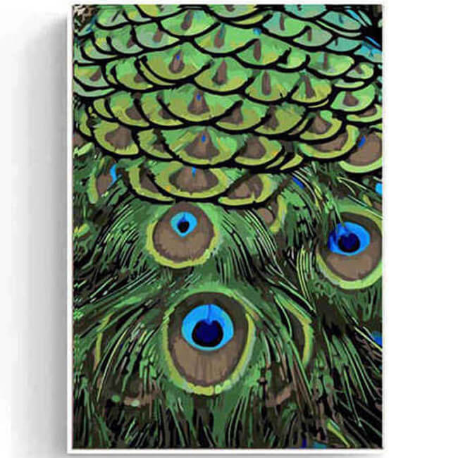 Painting By Numbers Peacock Feathers