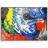 Painting By Numbers Parrot Colorful