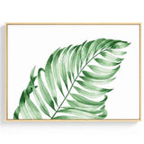 Painting by Numbers Plants