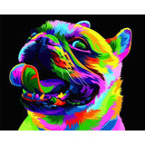Painting By Numbers Dog Pug Rainbow Colorful