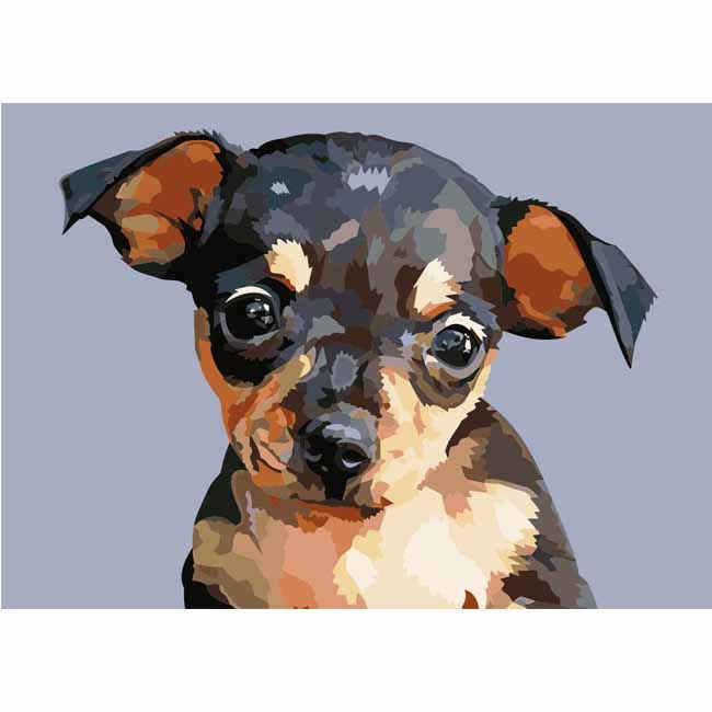 Paint By Numbers Chihuahua Dog Animal Art