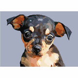 Paint By Numbers Chihuahua Dog Animal Art
